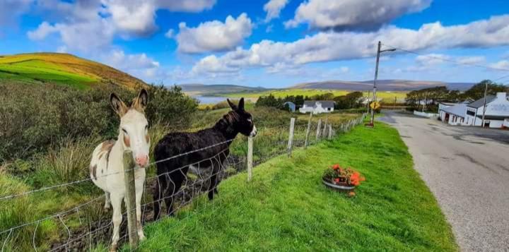 Cozy & Remote Hideaway Gintys Cottage Ross Port 外观 照片