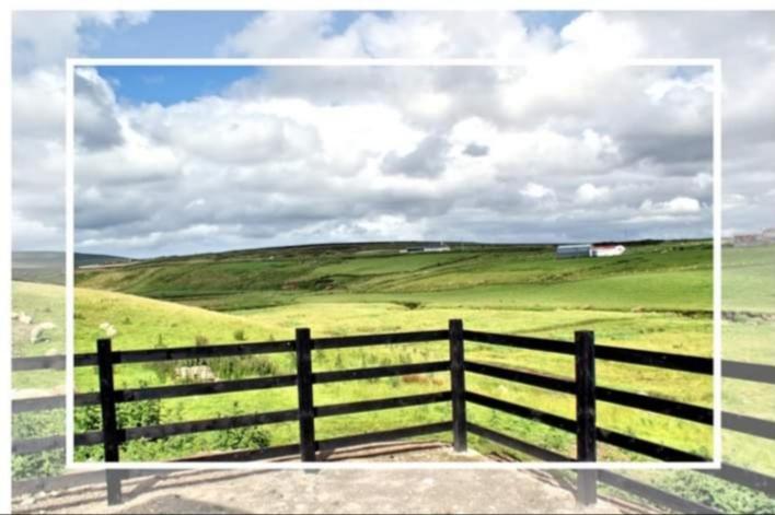 Cozy & Remote Hideaway Gintys Cottage Ross Port 外观 照片